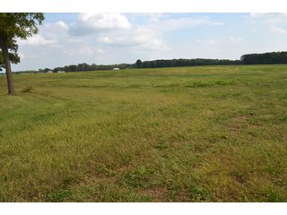 Pond in Dekalb County, Indiana - MAJOR LAND AUCTION - 516+/- ACRES OFFERED IN 18 TRACTS OR COMBINATIONS IN DEKALB COUNTY, INDIANA